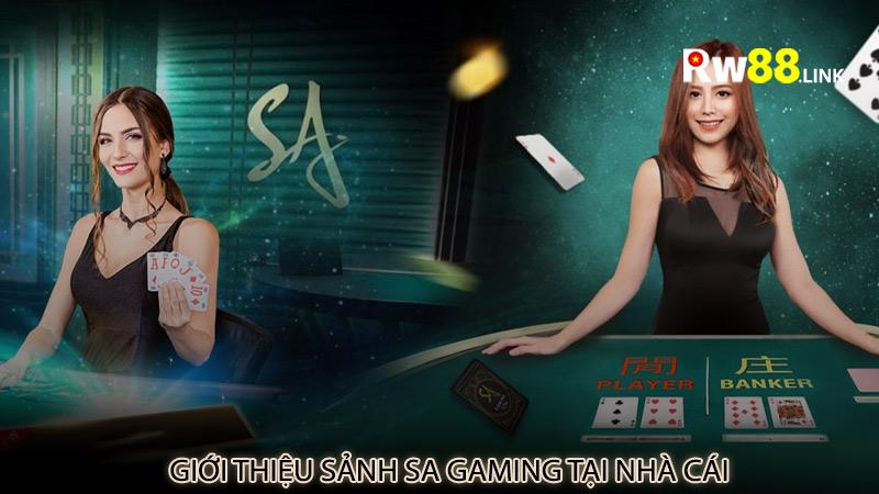 Giới thiệu sảnh SA gaming tại nhà cái