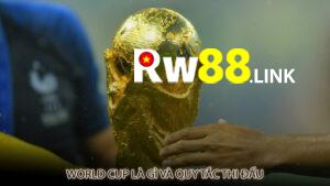 World Cup là gì và quy tắc thi đấu