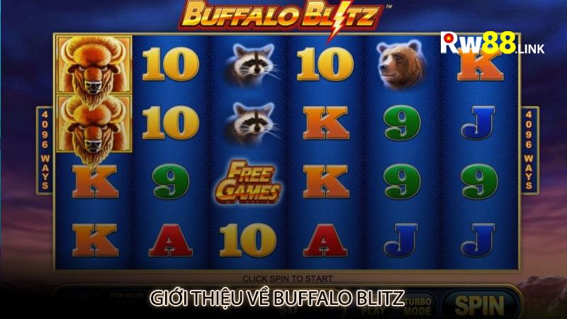 Giới thiệu về Buffalo Blitz