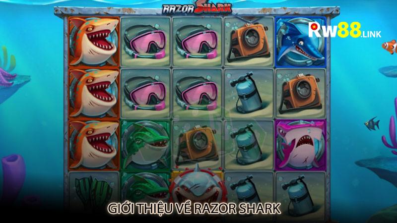 Giới thiệu về Razor Shark